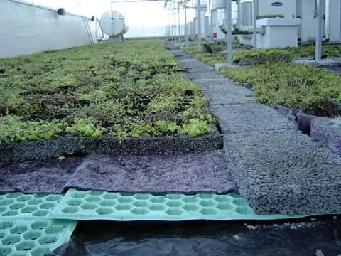 Telhado verde garante isolamento térmico