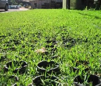 Ecopavimento - Montado