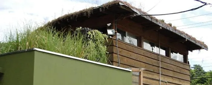 Ecoesgoto