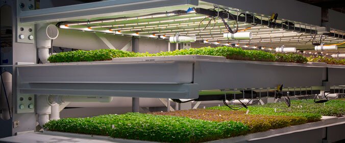 imagem de uma fazenda vertical, em que os vegetais são cultivados em plataformas umas sobre as outras