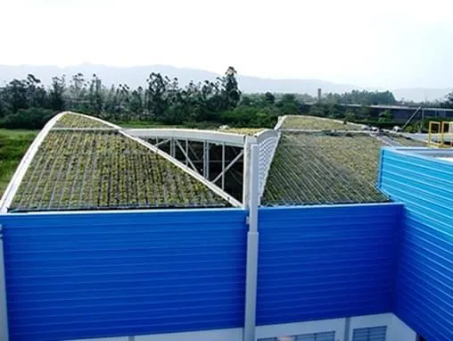 Telhado verde diminui danos ambientais com economia e conforto térmico