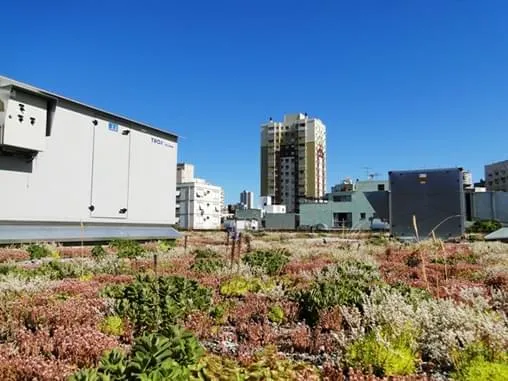 Gerdau instala 1.326 m² de telhados verdes em apenas nove dias