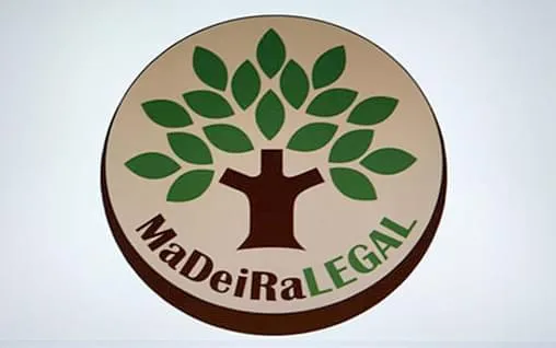 Telhados com madeira de florestas renováveis possuem sistema de montagem padrão