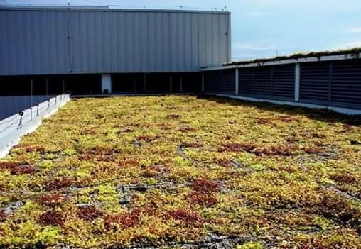Sistemas de telhados vivos criam e mantém o verde nos grandes centros urbanos