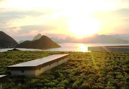 Sistemas de telhados vivos criam e mantém o verde nos grandes centros urbanos