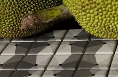 Coleção Bico de Jaca - Jatobá