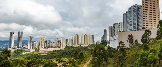 foto de uma cidade, com uma vegetação em primeiro plano
